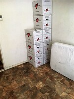 bomvol