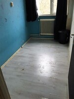 jong stel